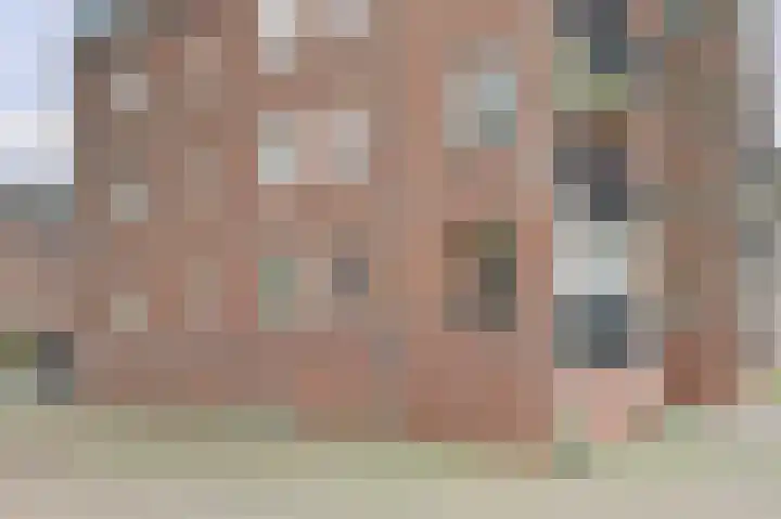 Willem van Oranjestraat 115 Geertruidenberg thumbnail 5