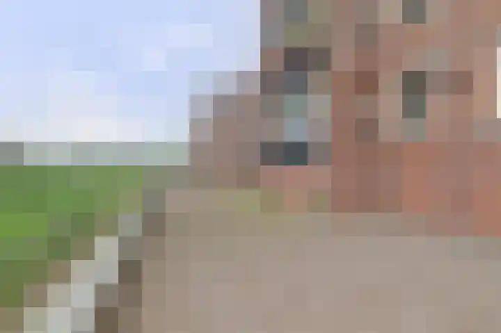 Willem van Oranjestraat 115 Geertruidenberg thumbnail 6