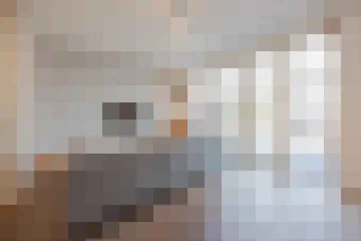 Willem van Oranjestraat 15 Geertruidenberg thumbnail 14