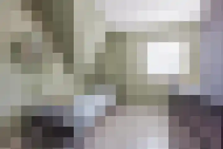 Willem van Oranjestraat 15 Geertruidenberg thumbnail 37