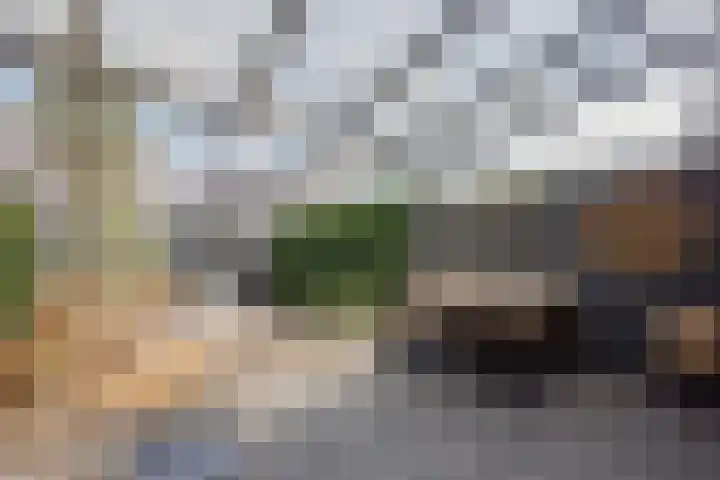 Willem van Oranjestraat 15 Geertruidenberg thumbnail 39