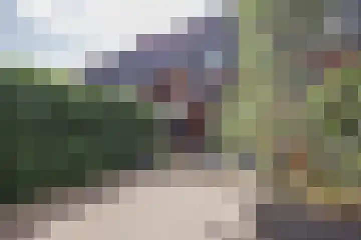 Willem van Oranjestraat 15 Geertruidenberg thumbnail 43