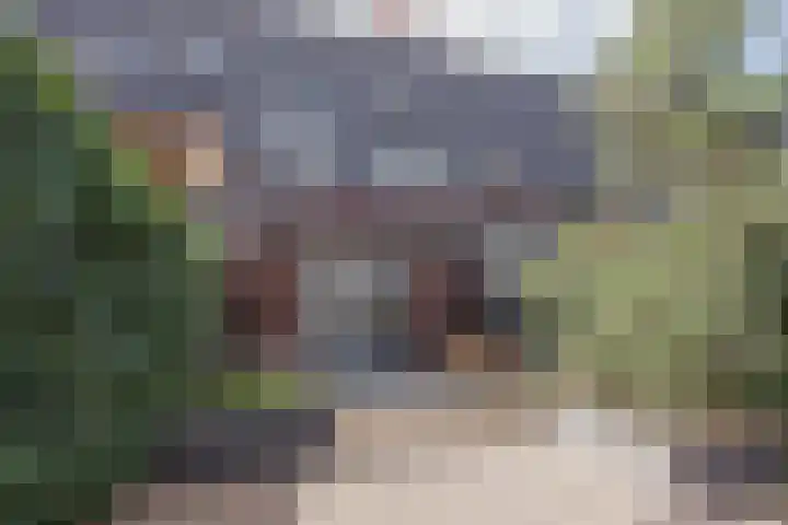 Willem van Oranjestraat 15 Geertruidenberg thumbnail 5