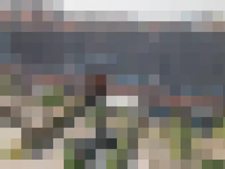 Willem van Oranjestraat 15 Geertruidenberg thumbnail 51