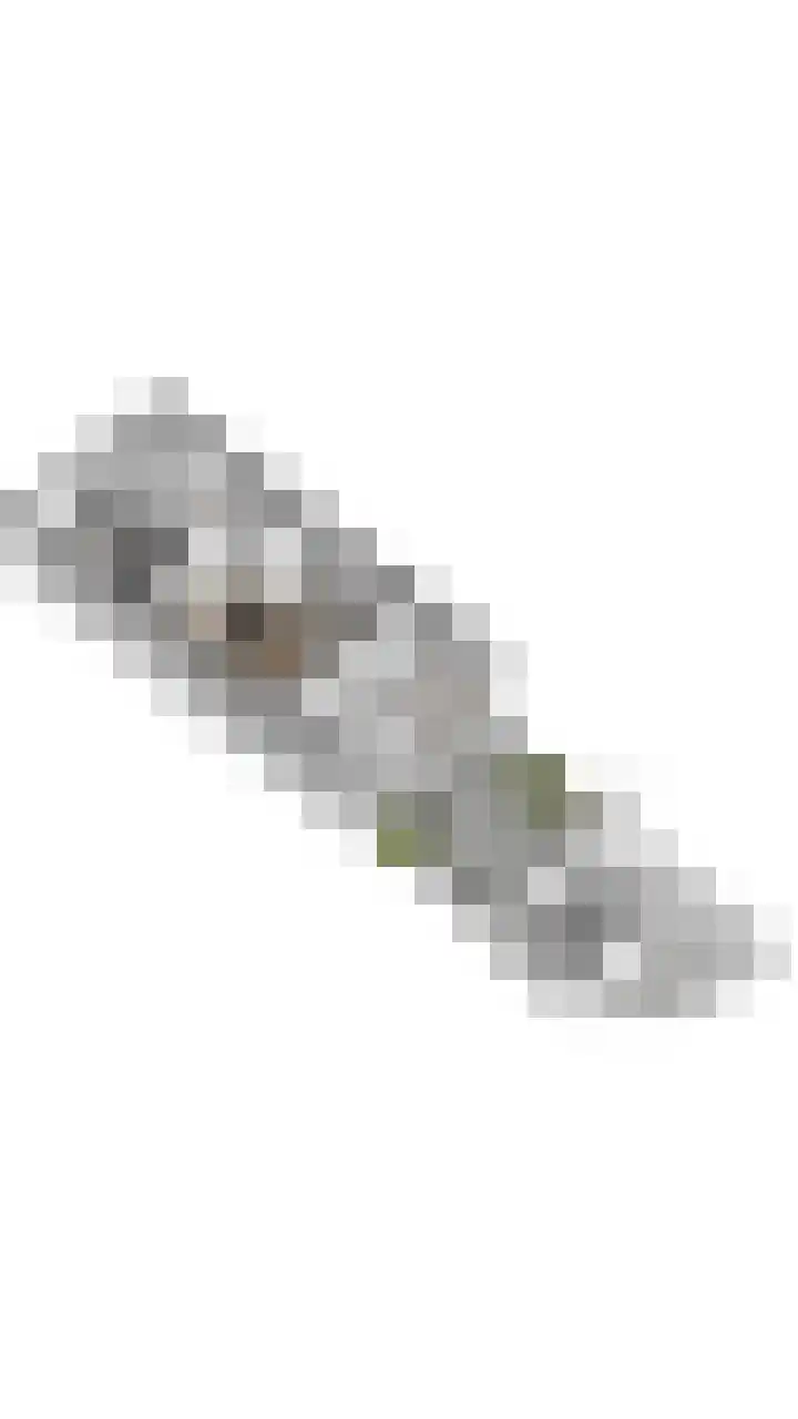 Willem van Oranjestraat 15 Geertruidenberg thumbnail 59