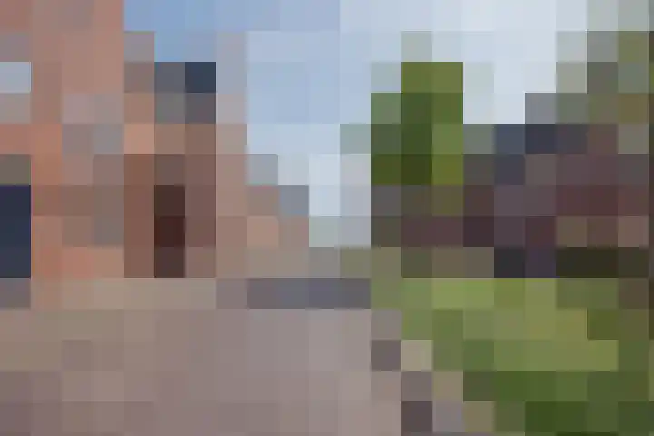 Willem van Oranjestraat 15 Geertruidenberg thumbnail 8
