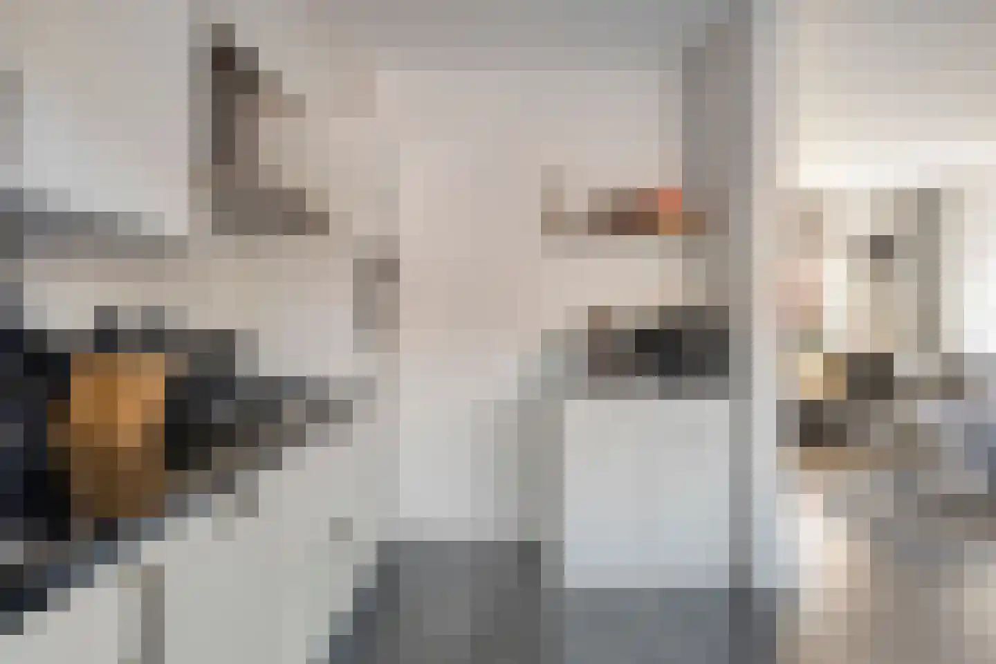 Willem van Oranjestraat 21 Buren thumbnail 11