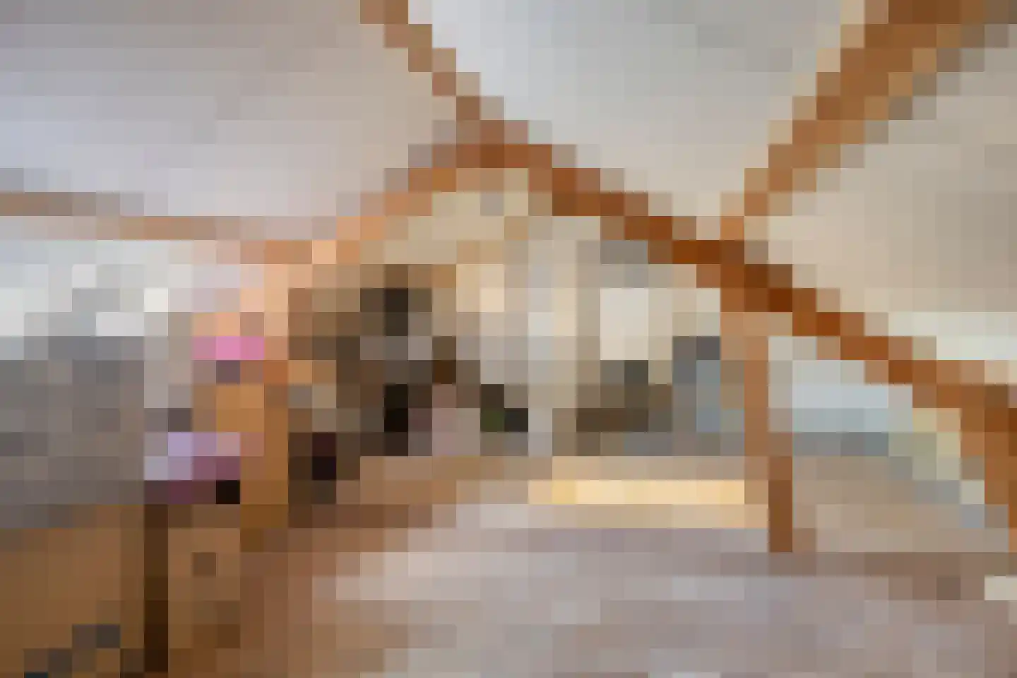 Willem van Oranjestraat 21 Buren thumbnail 23