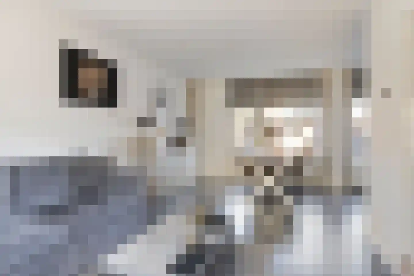Willem van Oranjestraat 21 Buren thumbnail 9