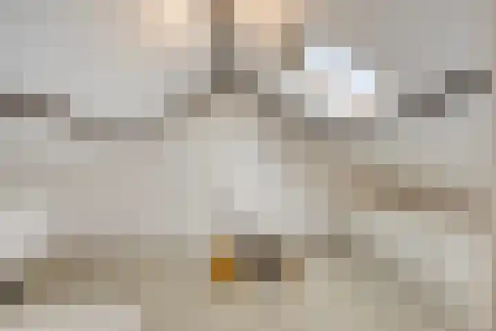 Willem van Oranjestraat 21 Oosterhout thumbnail 21
