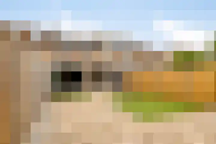 Willem van Oranjestraat 21 Oosterhout thumbnail 4