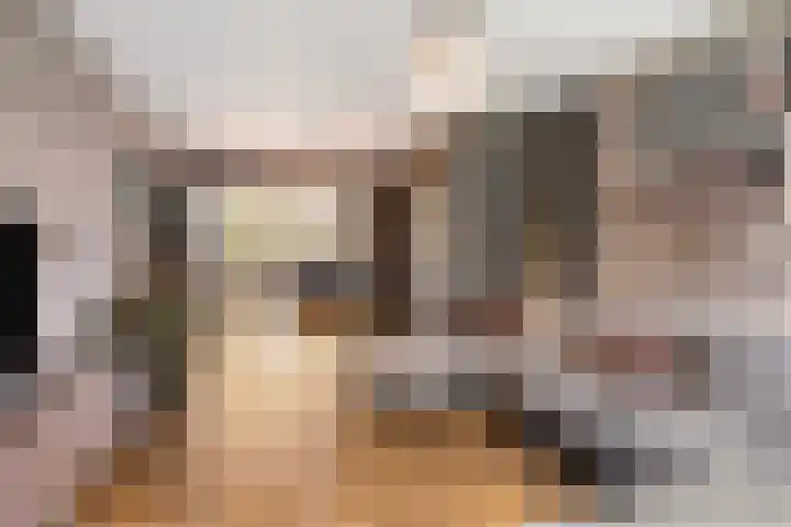 Willem van Oranjestraat 21 Oosterhout thumbnail 8