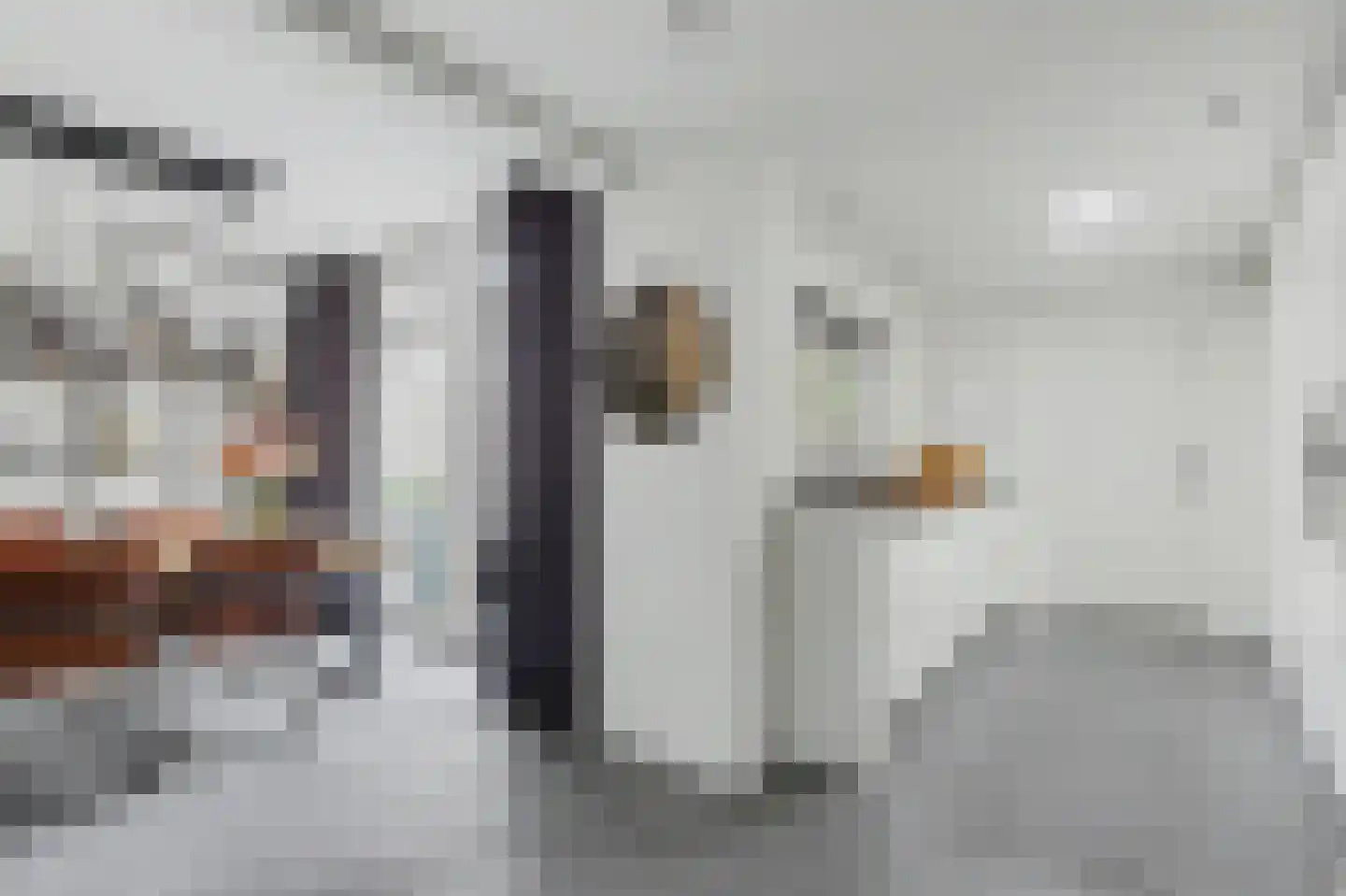 Willem van Oranjestraat 28 Oosterhout thumbnail 13