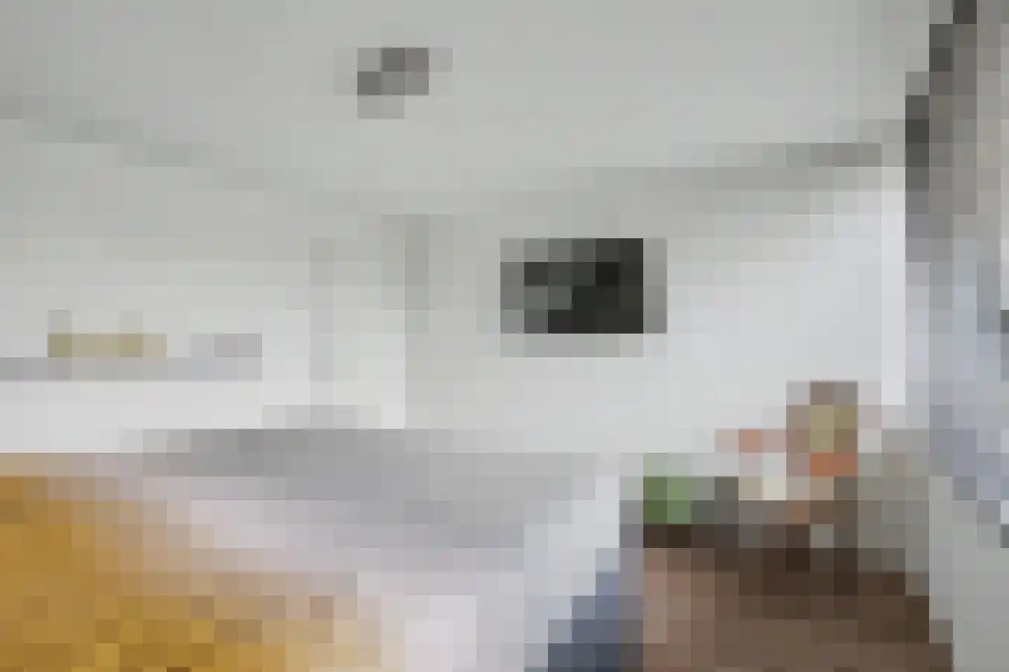 Willem van Oranjestraat 28 Oosterhout thumbnail 21