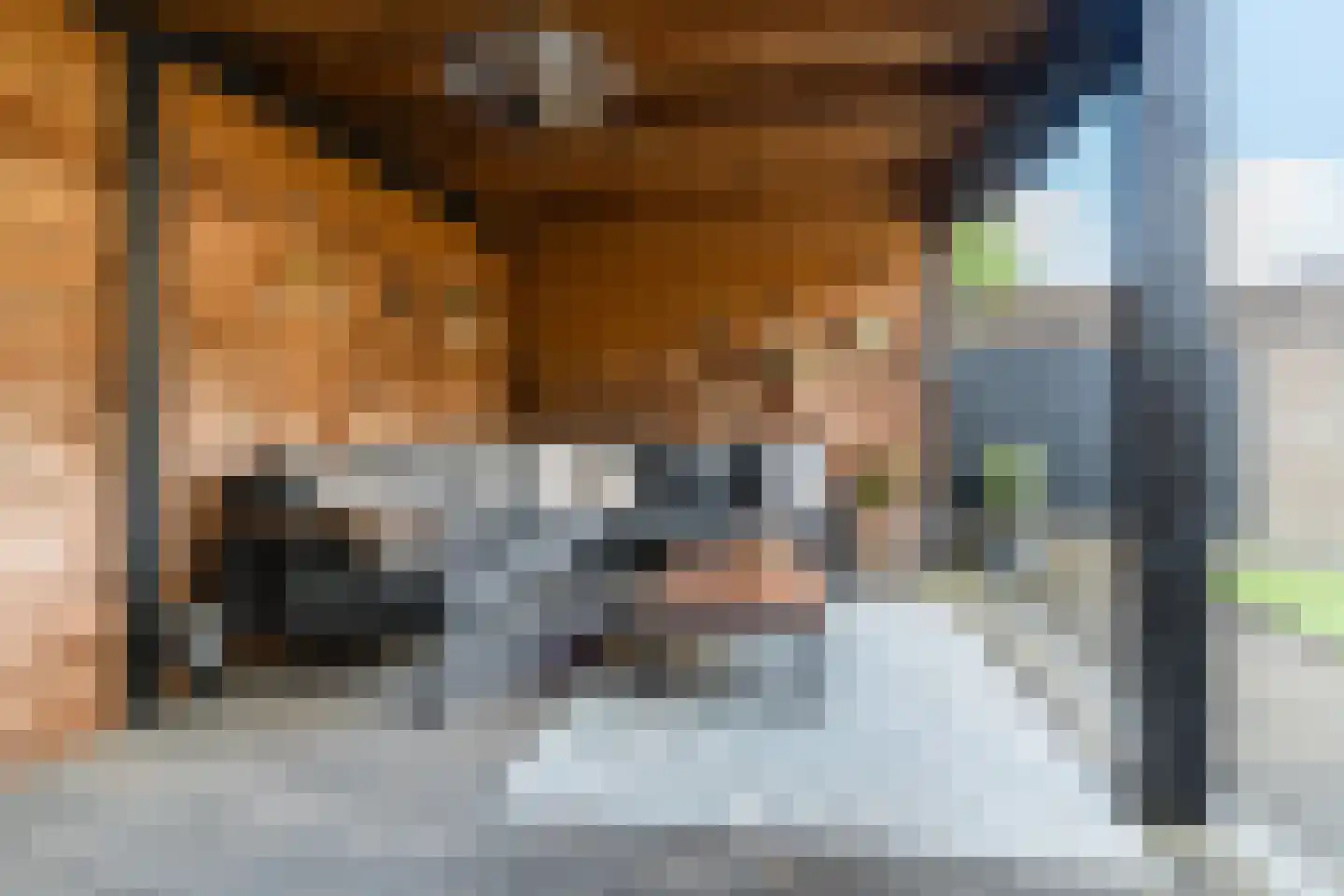 Willem van Oranjestraat 33 Oosterhout thumbnail 6