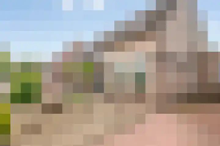 Willem van Oranjestraat 40 Poederoijen thumbnail 4