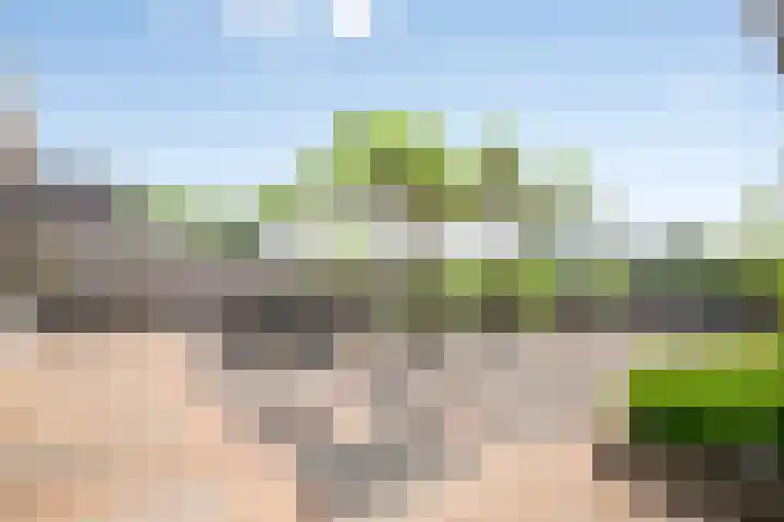 Willem van Oranjestraat 40 Poederoijen thumbnail 43