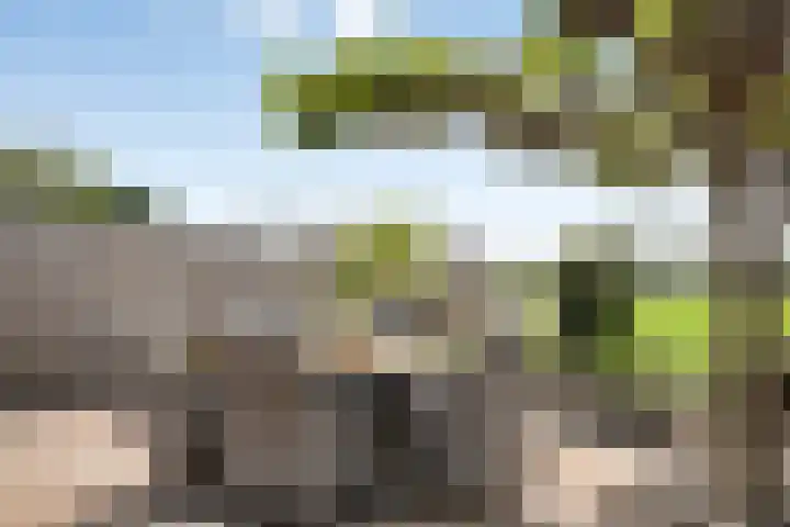 Willem van Oranjestraat 40 Poederoijen thumbnail 45