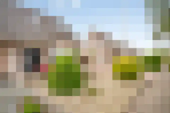 Willem van Oranjestraat 40 Poederoijen thumbnail 5
