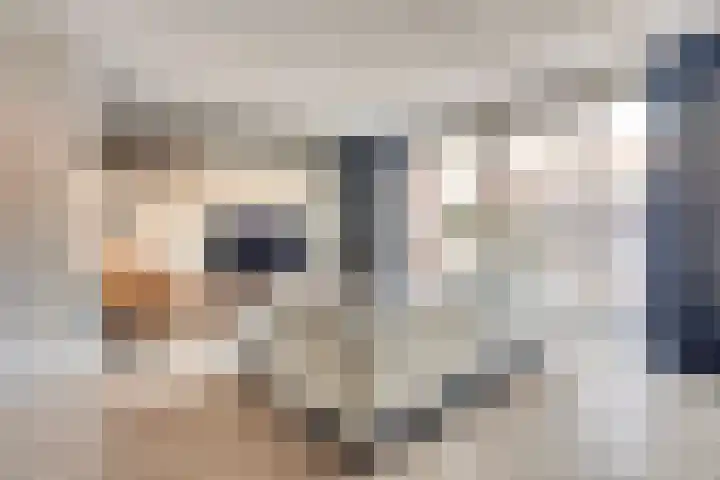 Willem van Oranjestraat 44 Geertruidenberg thumbnail 12