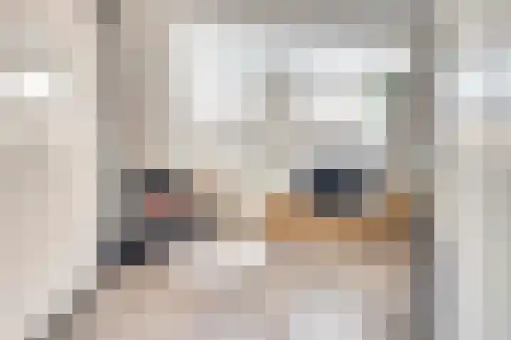 Willem van Oranjestraat 44 Geertruidenberg thumbnail 22