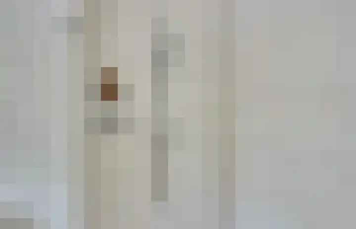 Willem van Oranjestraat 44 Geertruidenberg thumbnail 27