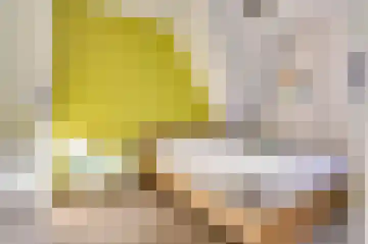 Willem van Oranjestraat 44 Geertruidenberg thumbnail 33