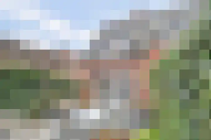 Willem van Oranjestraat 44 Geertruidenberg thumbnail 6