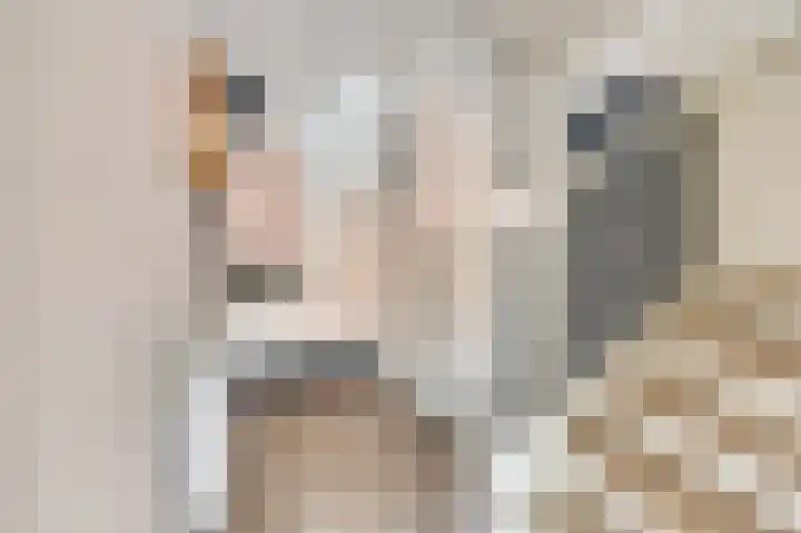Willem van Oranjestraat 44 Geertruidenberg thumbnail 8