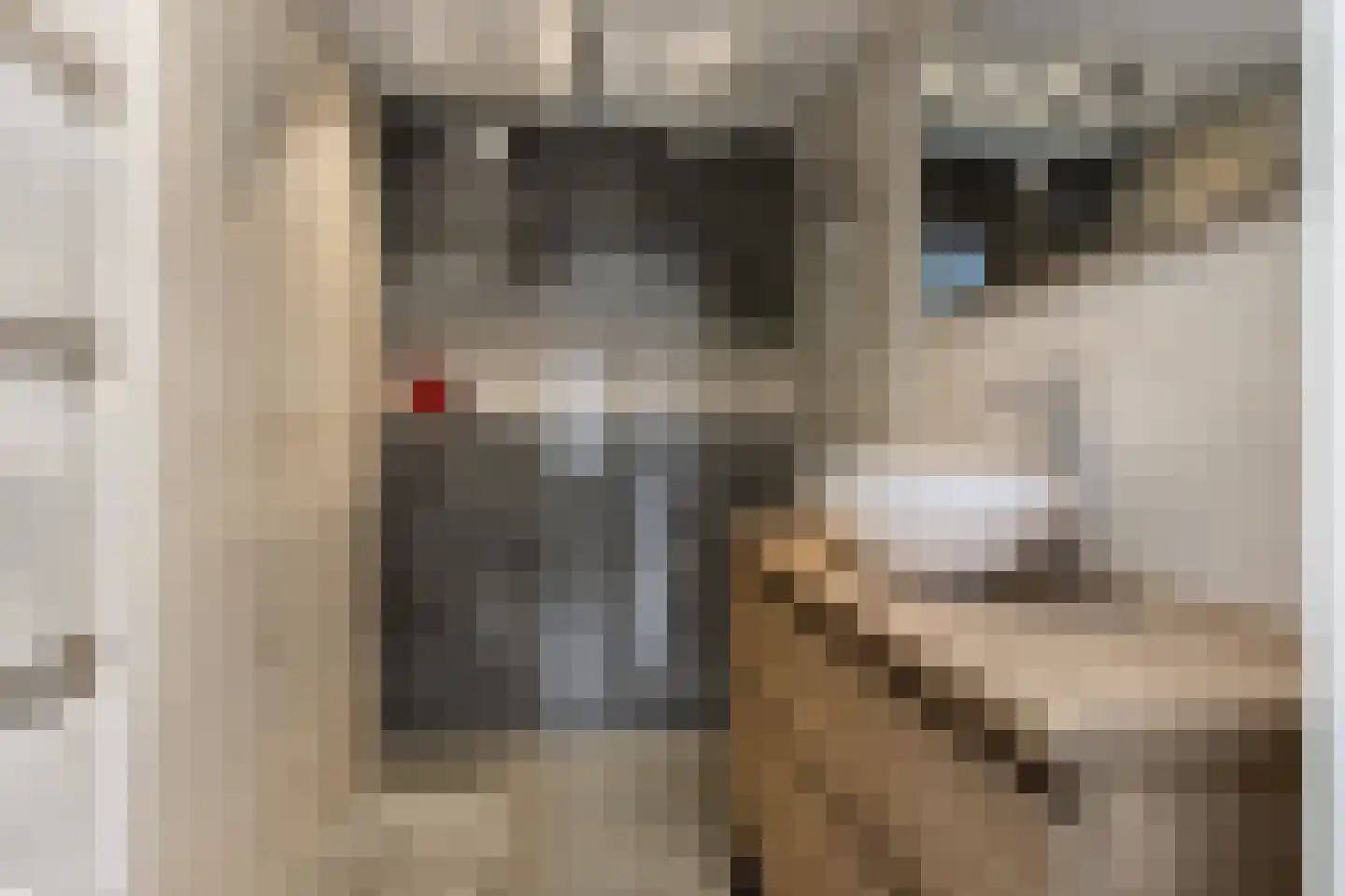 Willem van Oranjestraat 46 Poederoijen thumbnail 35