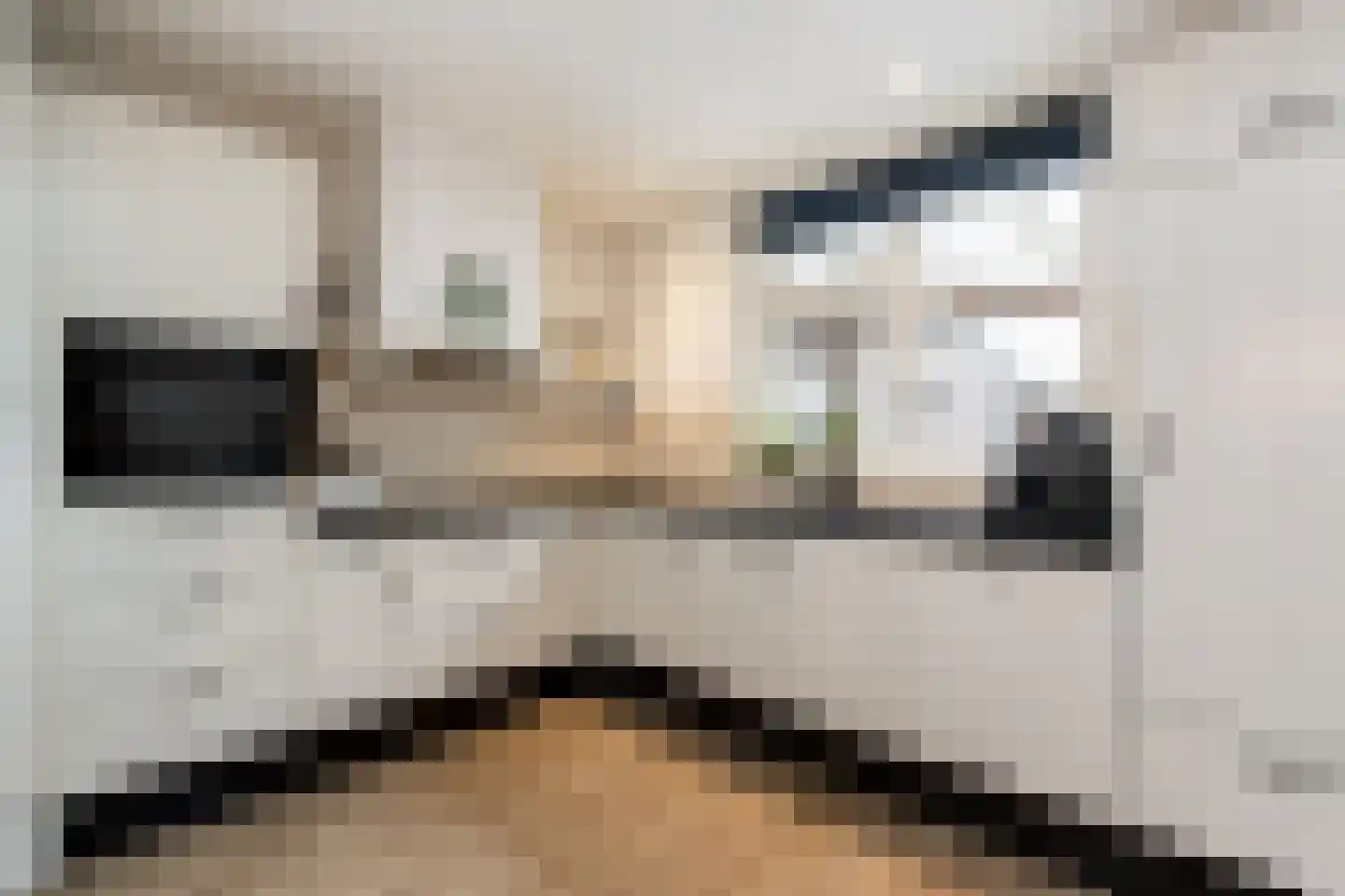 Willem van Oranjestraat 46 Poederoijen thumbnail 4