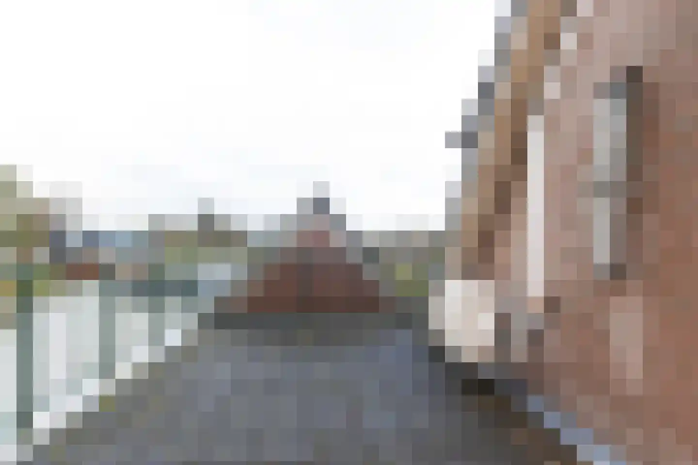 Willem van Oranjestraat 46 Poederoijen thumbnail 40