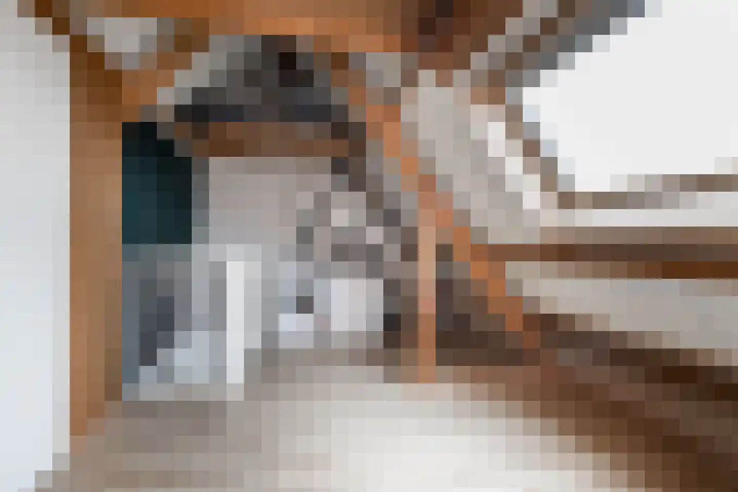 Willem van Oranjestraat 46 Poederoijen thumbnail 42
