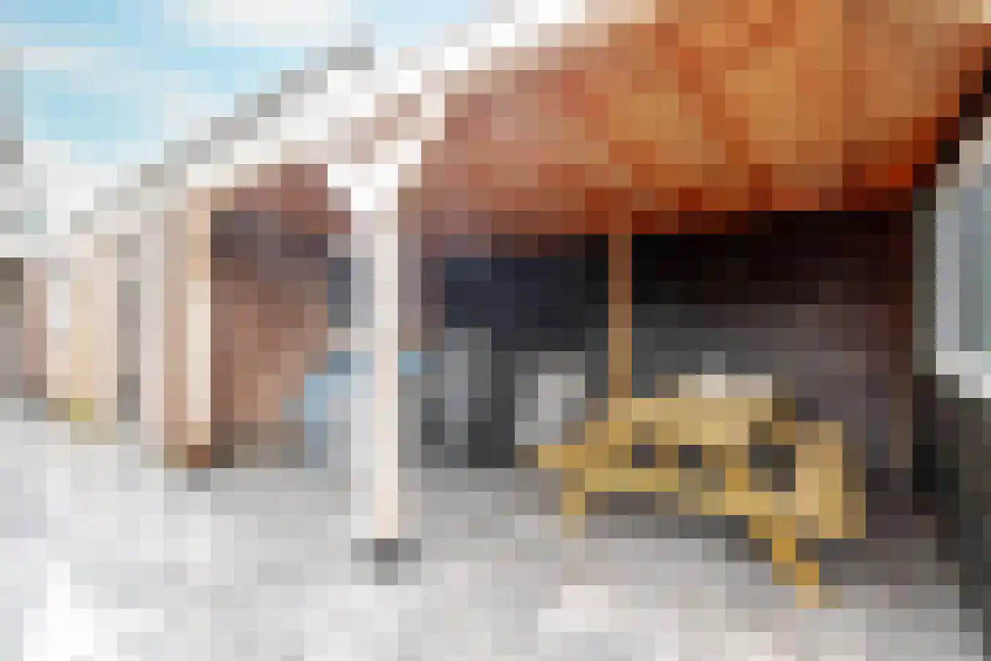 Willem van Oranjestraat 46 Poederoijen thumbnail 49