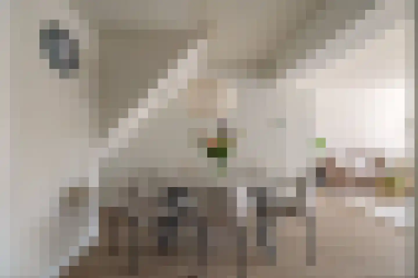 Willem van Oranjestraat 5 Epe thumbnail 10