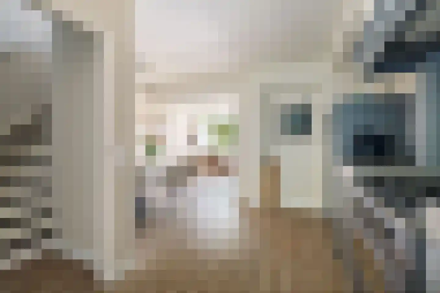 Willem van Oranjestraat 5 Epe thumbnail 13