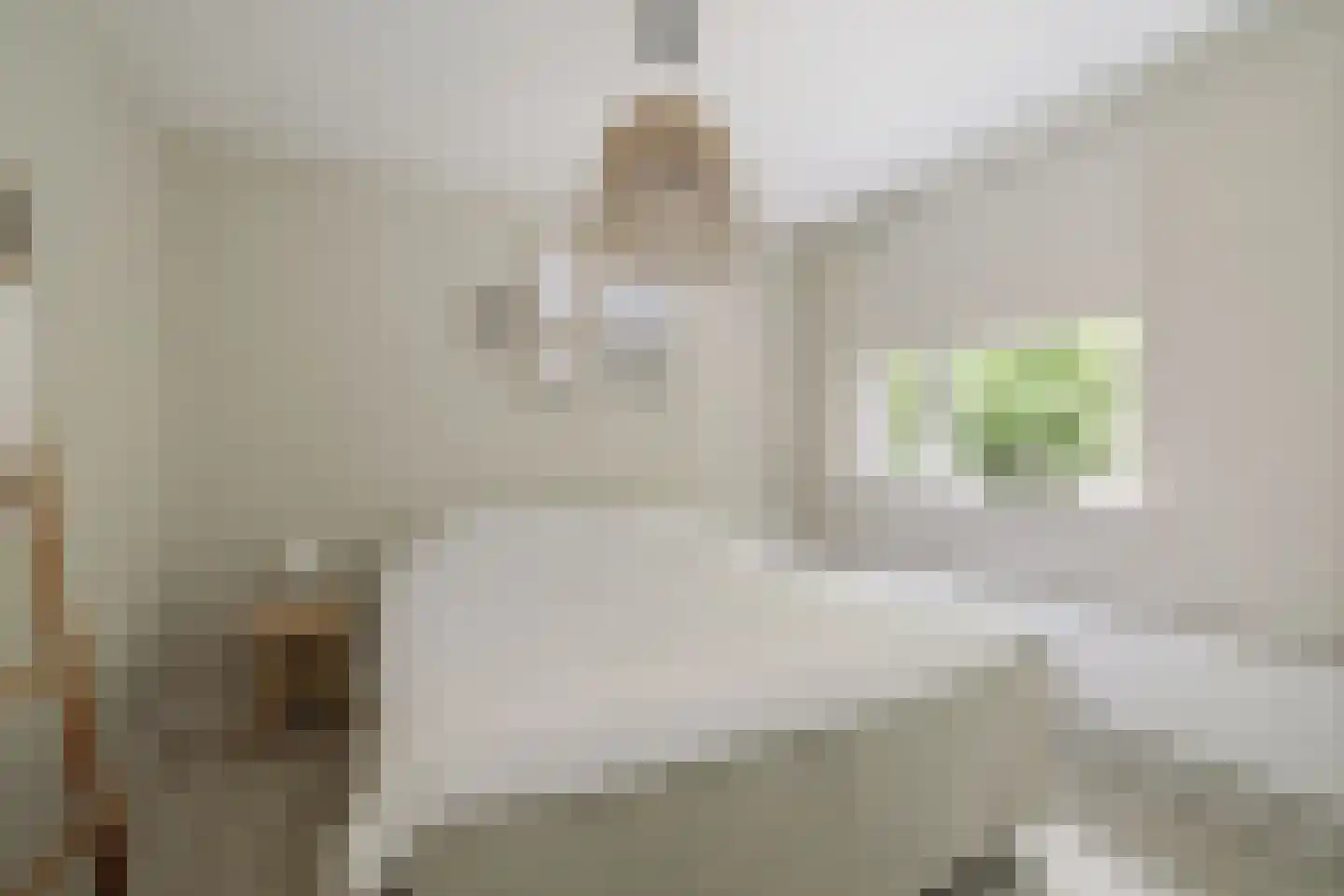 Willem van Oranjestraat 5 Epe thumbnail 15