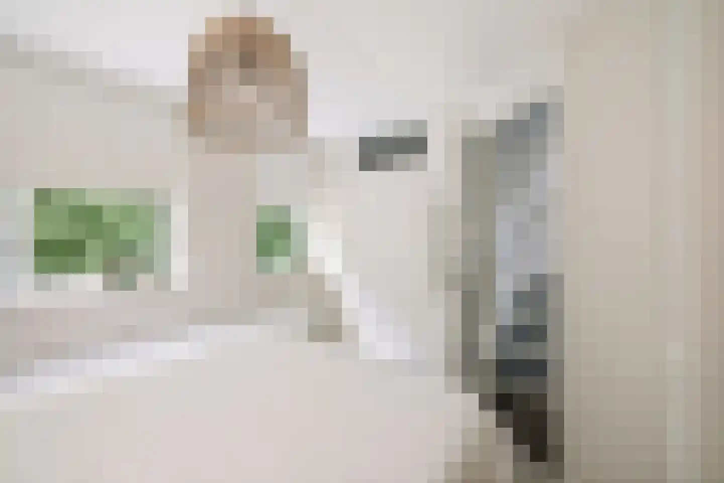 Willem van Oranjestraat 5 Epe thumbnail 16