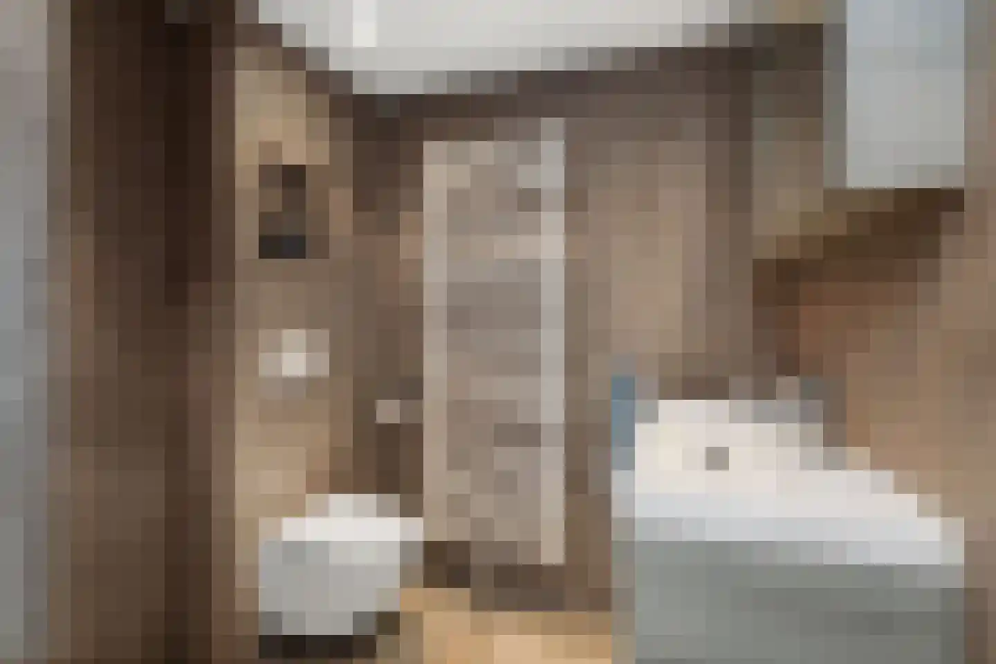 Willem van Oranjestraat 5 Epe thumbnail 19