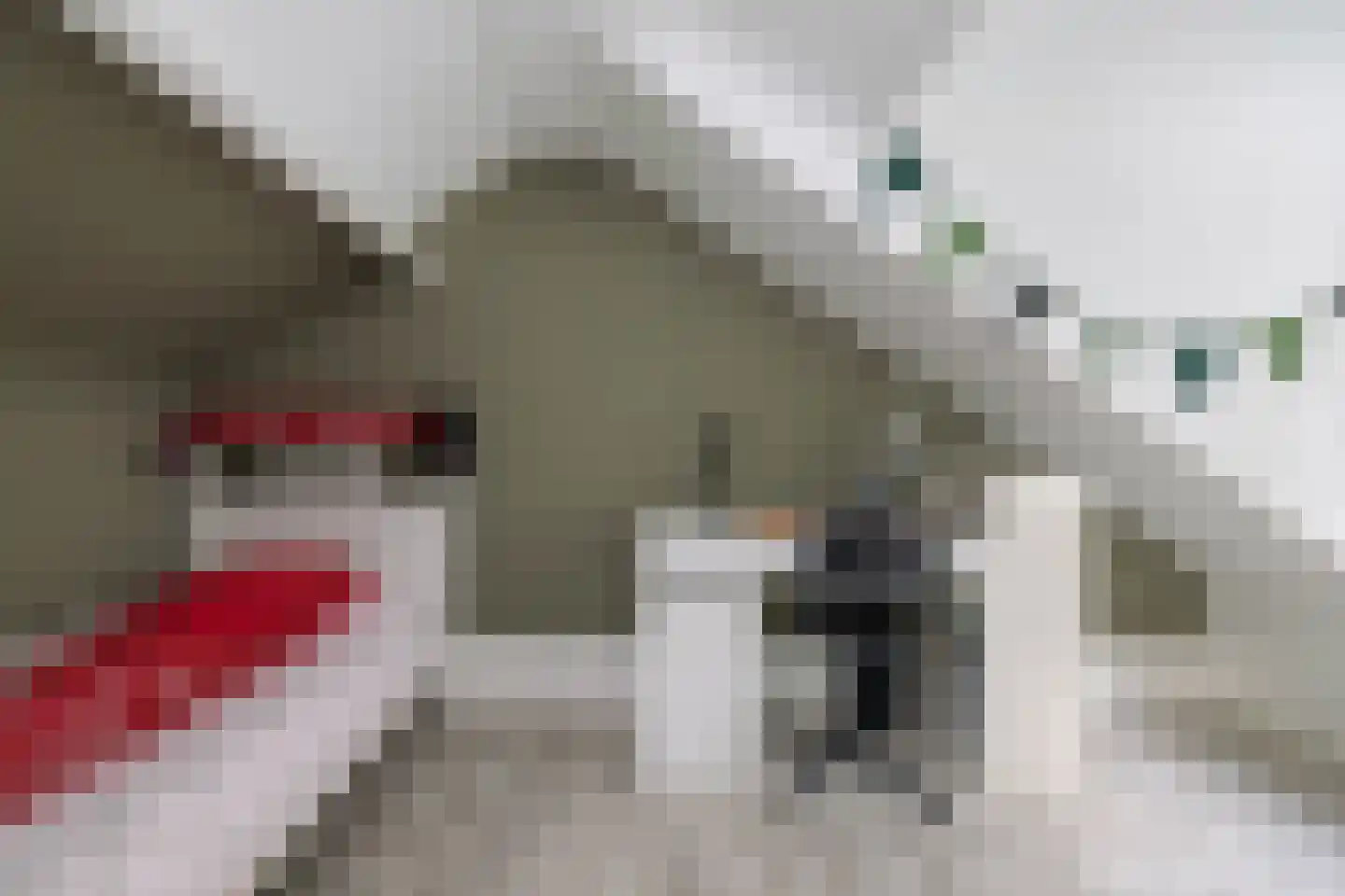 Willem van Oranjestraat 5 Epe thumbnail 23