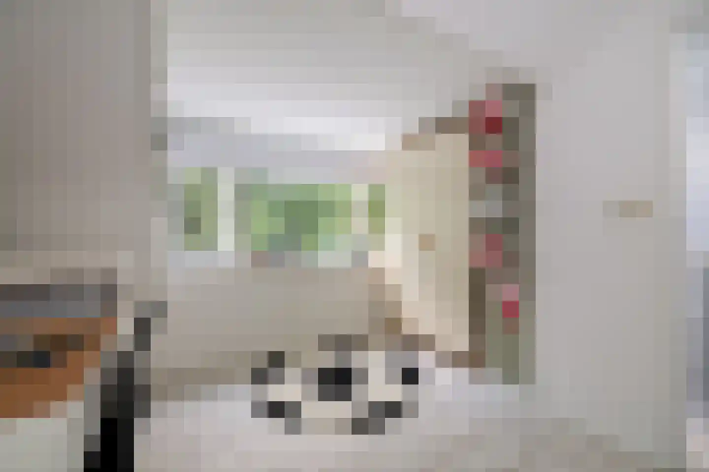 Willem van Oranjestraat 5 Epe thumbnail 24