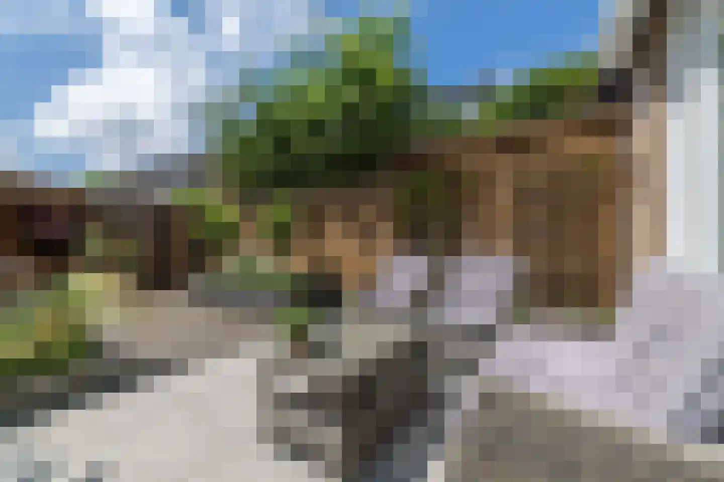 Willem van Oranjestraat 5 Epe thumbnail 26