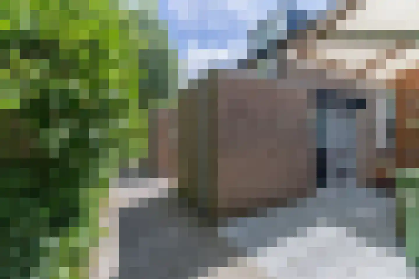 Willem van Oranjestraat 5 Epe thumbnail 4