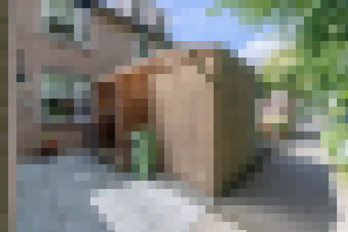 Willem van Oranjestraat 5 Epe thumbnail 5