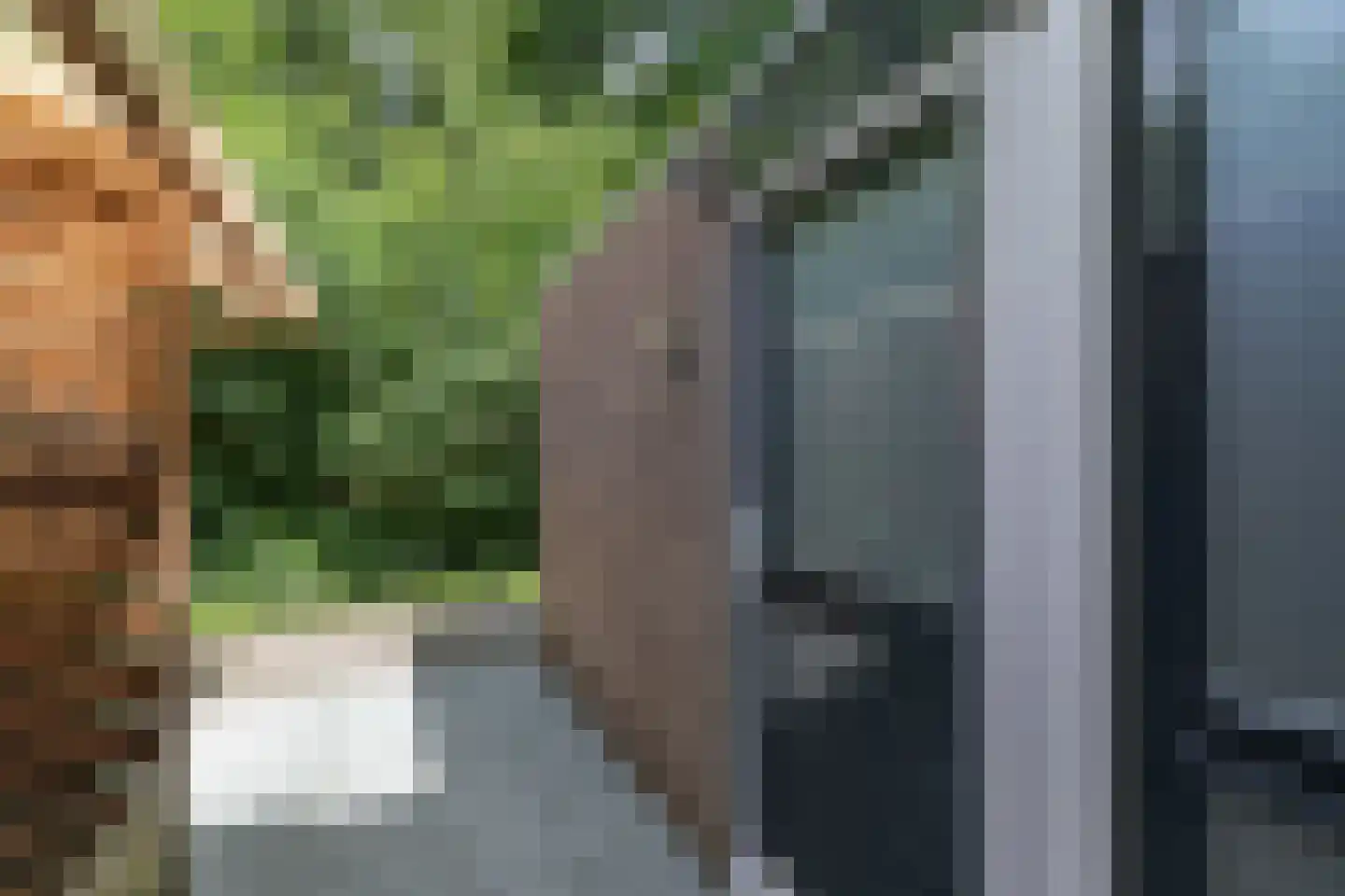 Willem van Oranjestraat 5 Epe thumbnail 6
