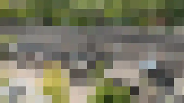 Willem van Oranjestraat 58 Epe thumbnail 4