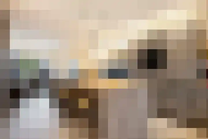 Willem van Oranjestraat 6 Poederoijen thumbnail 10
