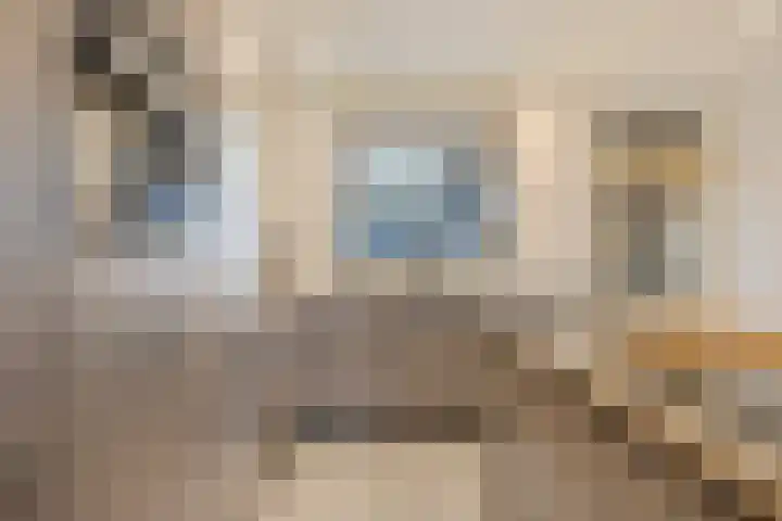 Willem van Oranjestraat 6 Poederoijen thumbnail 11