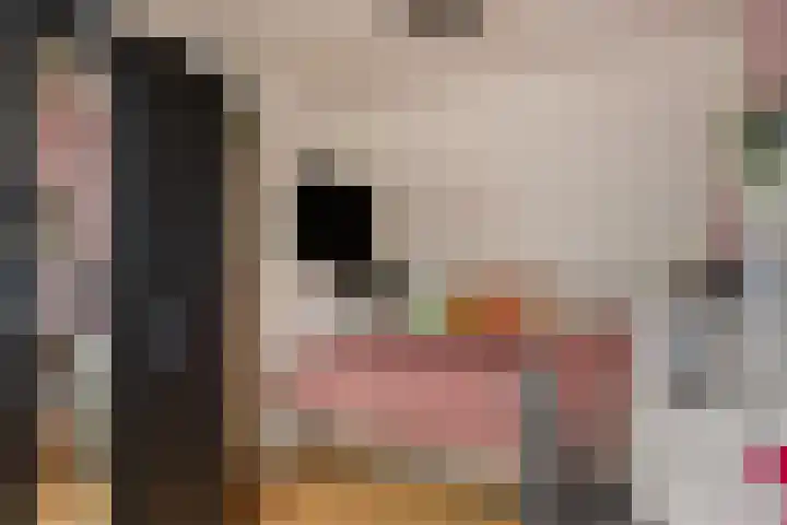 Willem van Oranjestraat 6 Poederoijen thumbnail 22
