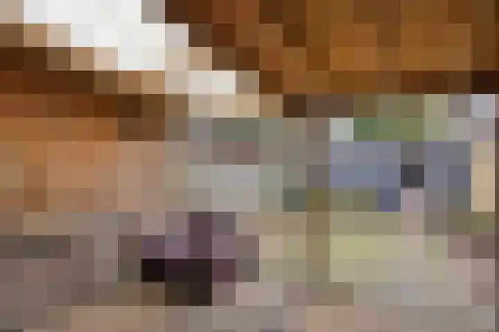 Willem van Oranjestraat 6 Poederoijen thumbnail 23